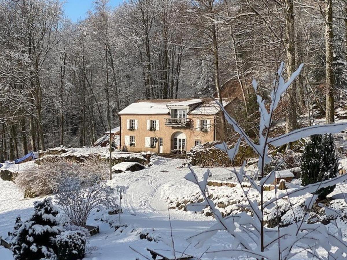 Gite Du Bois Des Hauts Les Mille Etangs La Lanterne-et-les-Armonts Εξωτερικό φωτογραφία