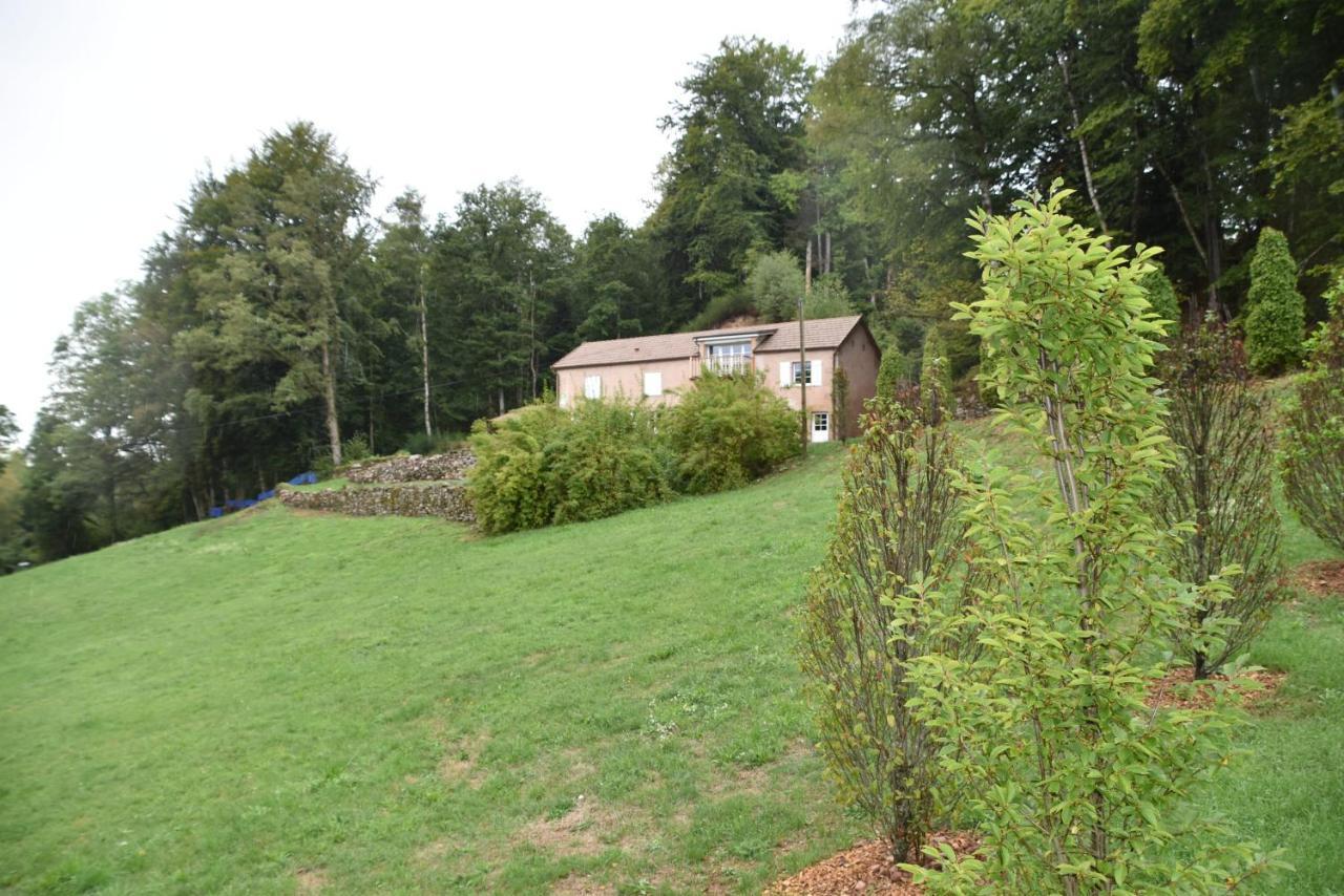 Gite Du Bois Des Hauts Les Mille Etangs La Lanterne-et-les-Armonts Εξωτερικό φωτογραφία